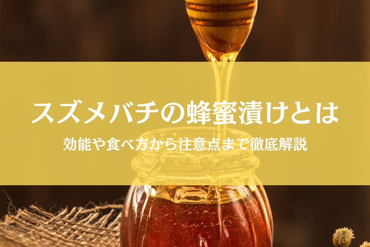 スズメバチの蜂蜜漬けの効能と食べ方｜作り方から歴史・注意点まで徹底解説