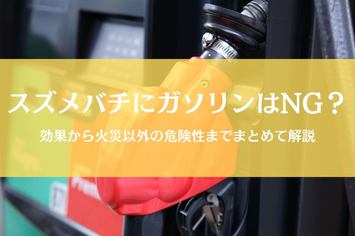 スズメバチ駆除にガソリンや灯油を使うのはなぜNG？火災以外の危険性も解説