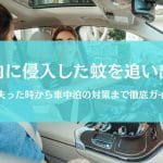 車内の蚊を追い出す方法｜見失ったときも車中泊も安心の最強蚊対策ガイド