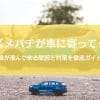 スズメバチが車に寄ってくる原因と対策｜毎日来る蜂の行動を徹底解明
