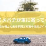 スズメバチが車に寄ってくる原因と対策｜毎日来る蜂の行動を徹底解明