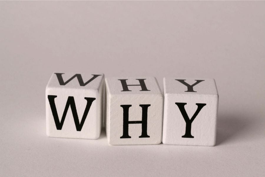 スズメバチのお酒はなぜ作られるようになった？