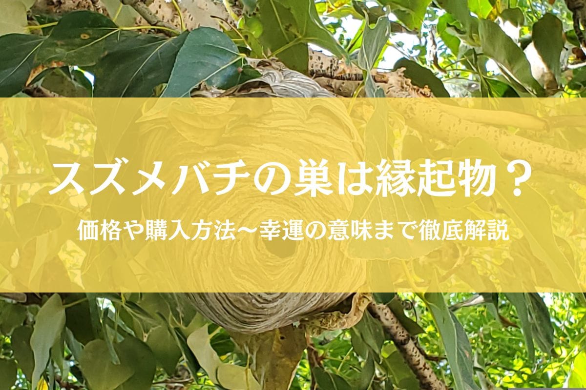 スズメバチの巣は縁起物？気になる値段からスピリチュアルな意味まで