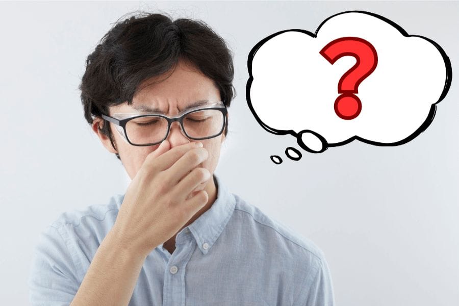 スズメバチのフェロモンの匂いは臭いのか？特徴を解説