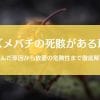 スズメバチの死骸が落ちてる理由|放置の危険性や巣の可能性を徹底解説