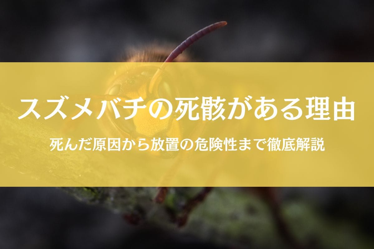 スズメバチの死骸が落ちてる理由|放置の危険性や巣の可能性を徹底解説
