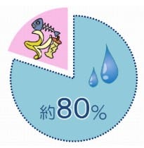 生ごみの水切りをするメリット３選