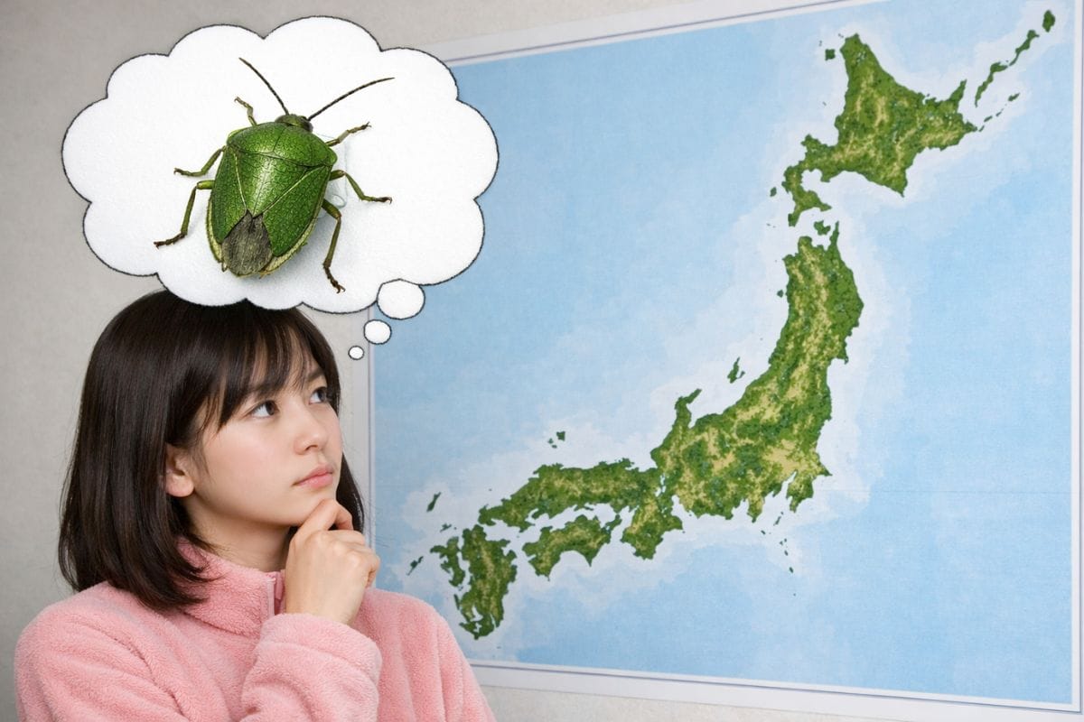 そもそもカメムシがいない地域はあるのか
