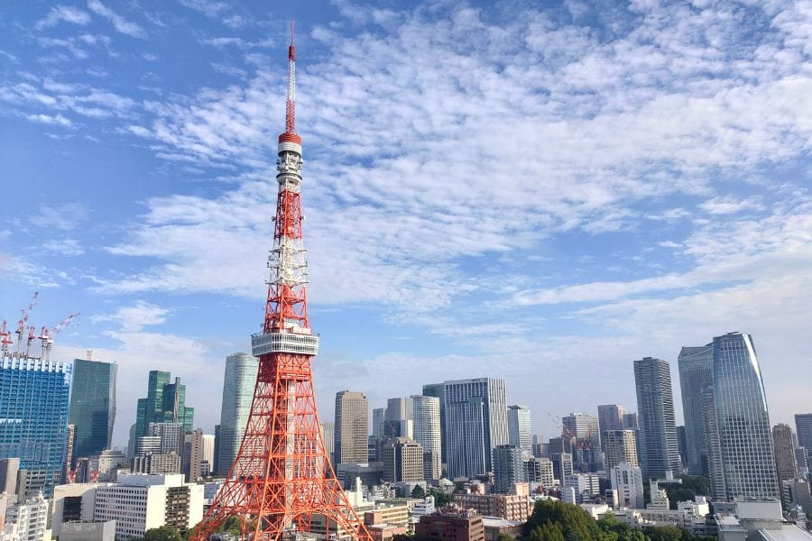 カメムシは都会である東京にはいないと言われる噂の真相
