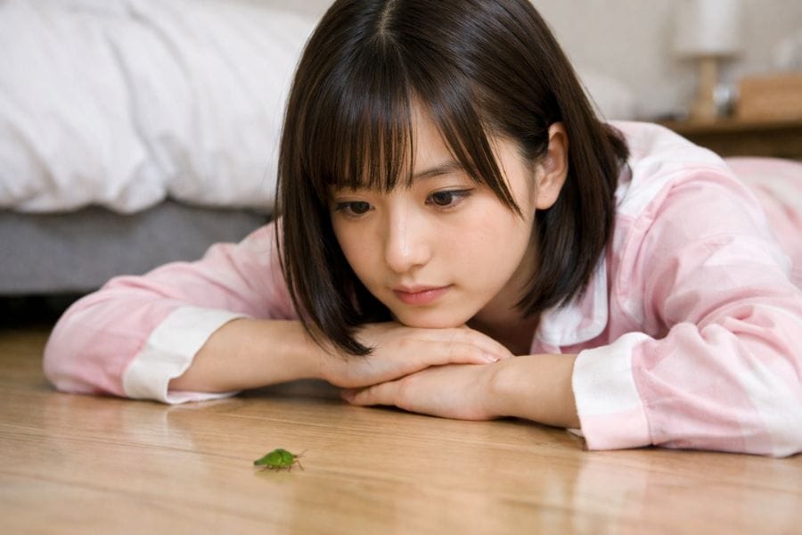 カメムシが家の中にいるのはなぜ？原因とは
