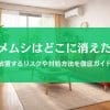 カメムシを家の中で見失った…「どこにいる？」放置しちゃダメな理由