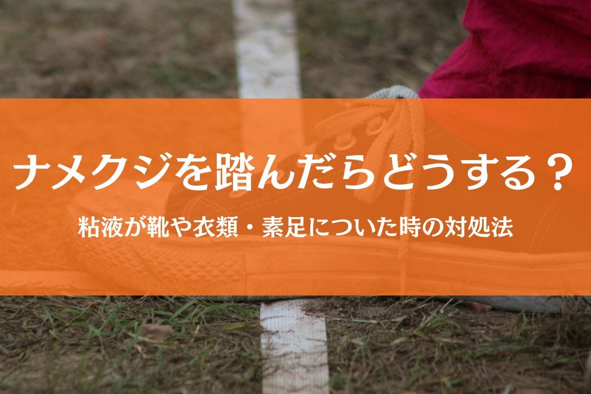 ナメクジ踏んだ！足・靴・服についた時の正しい対処法を解説