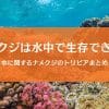 ナメクジは水の中で生きられる？気になる水とナメクジの雑学まとめ