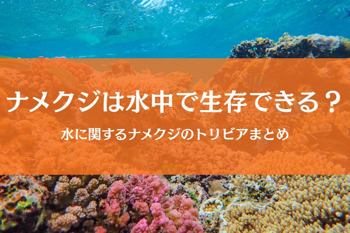 ナメクジは水の中で生きられる？気になる水とナメクジの雑学まとめ
