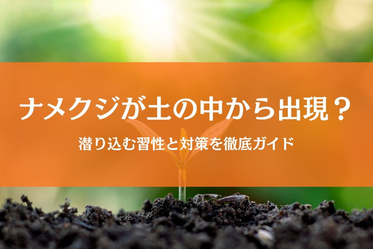 ナメクジは土の中から出てくる？潜る習性と発生原因を解説