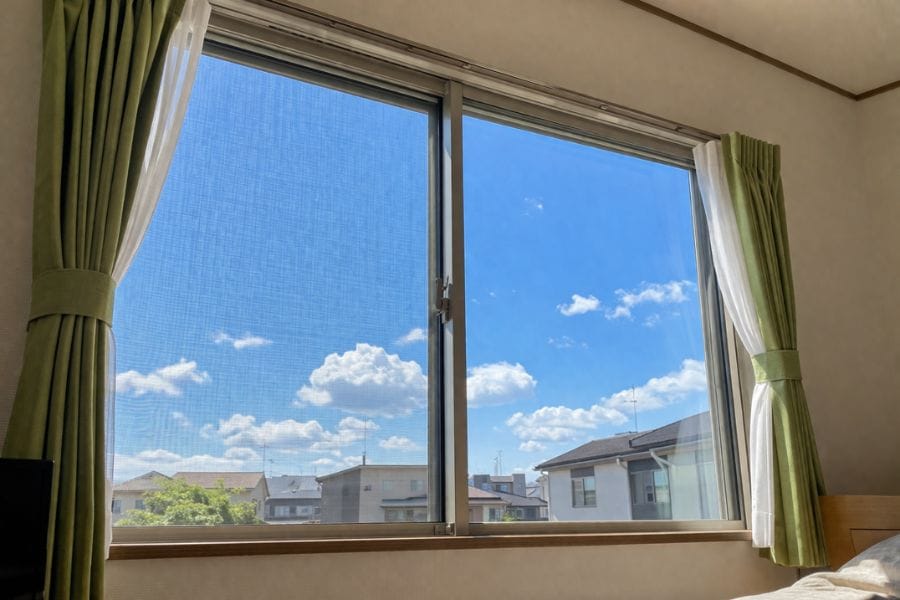 窓の周りはカメムシが好む