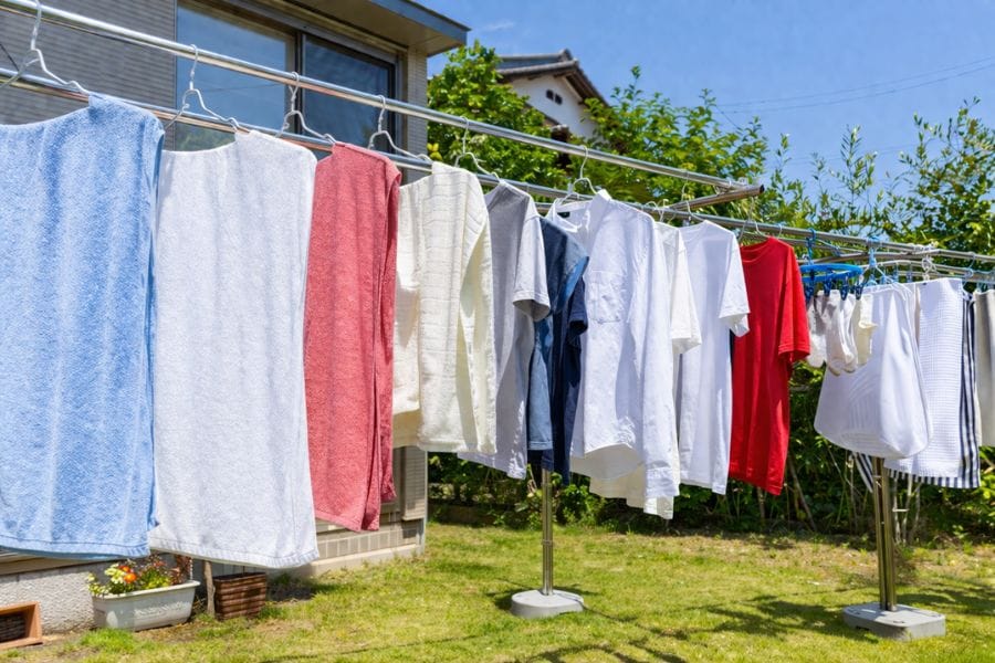 カメムシが洗濯物につく理由