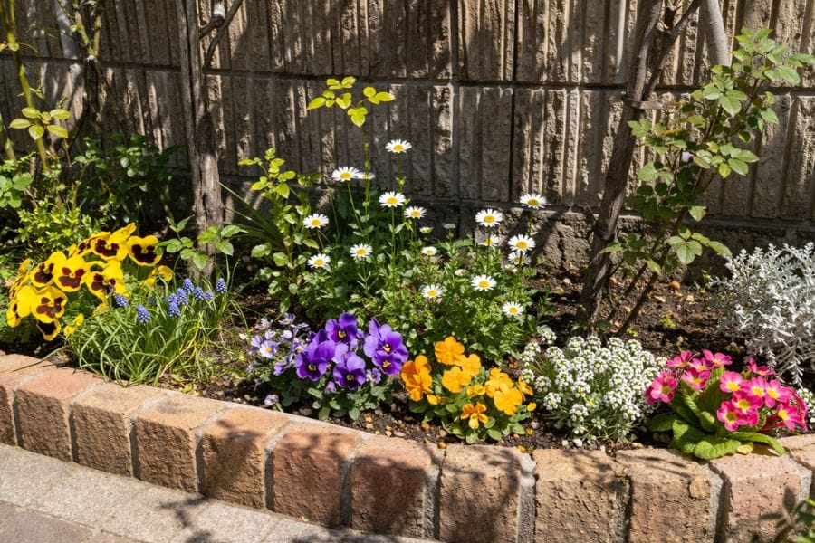 カメムシは花壇や庭木のまわりによくいる