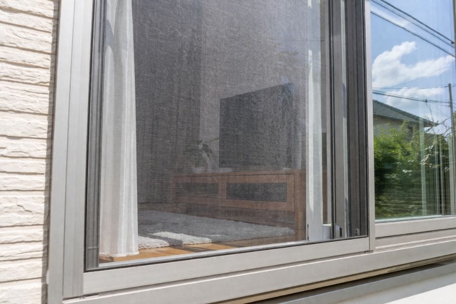 カメムシは網戸にとまる