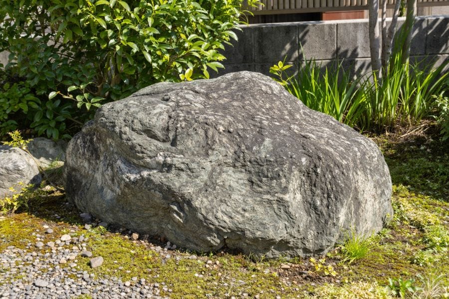 石の下や木材の隙間はカメムシの隠れ場所になる