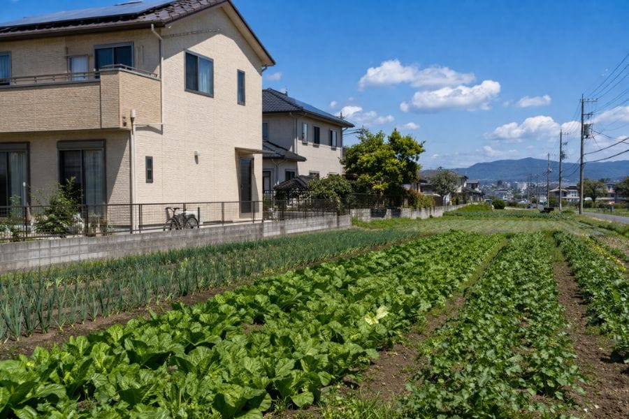 農地や雑草地の隣の家はカメムシが増える？