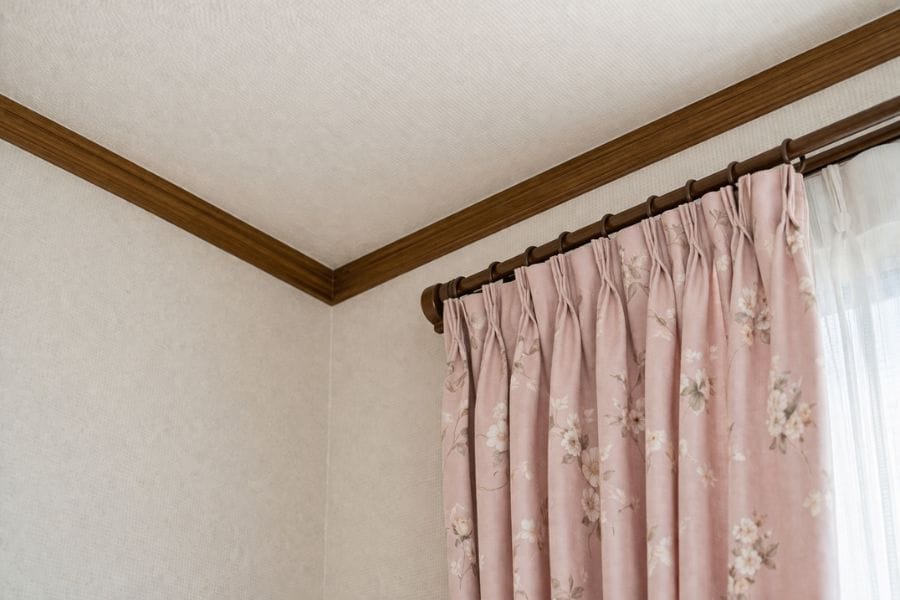 カメムシは天井や壁の高い場所にとまる