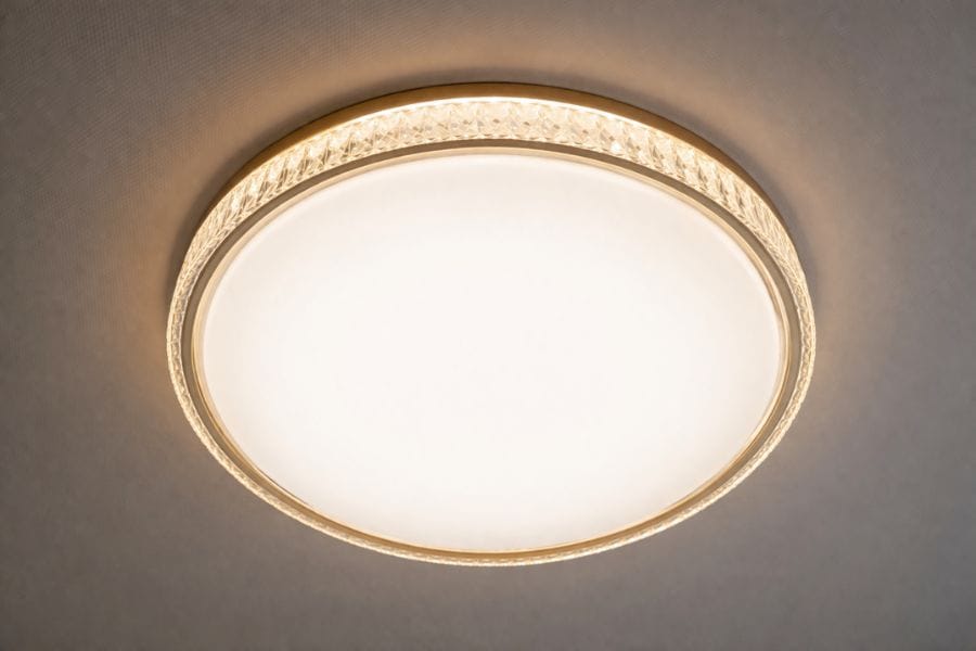 カメムシが照明器具の近くを好むのはなぜ？