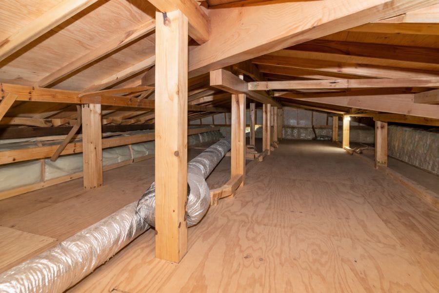 カメムシにとって屋根裏は好都合