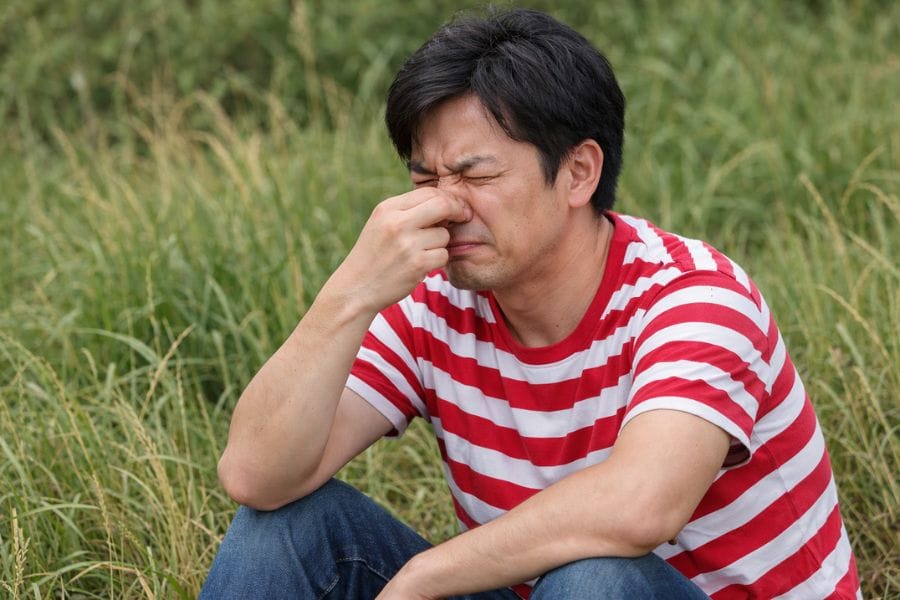 カメムシはつぶすと臭いが強くなりがち