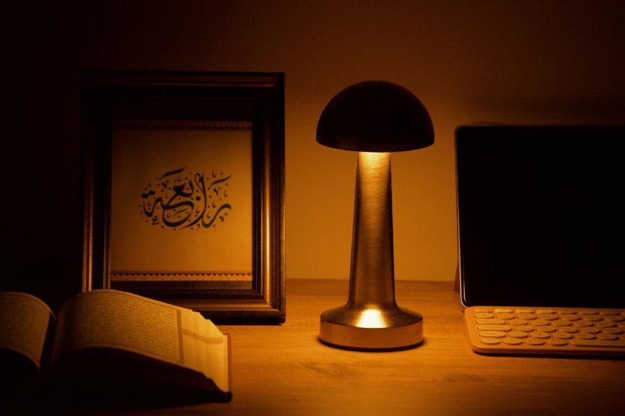 カメムシは光に集まりやすい