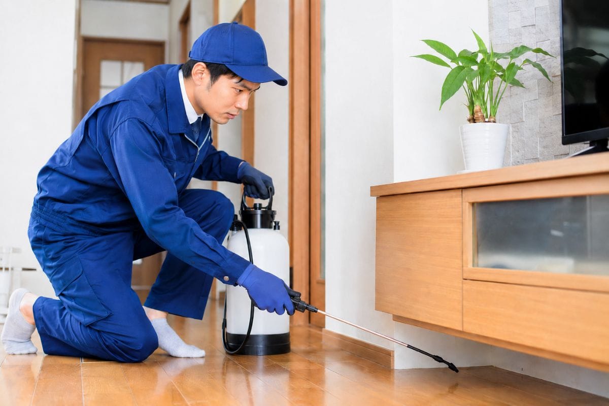 害虫駆除業者に依頼する前に知っておきたいメリットと注意点