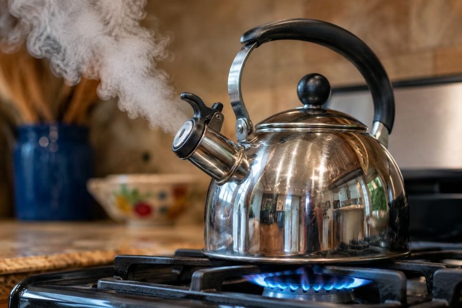 動かないムカデに熱湯をかける時の注意点