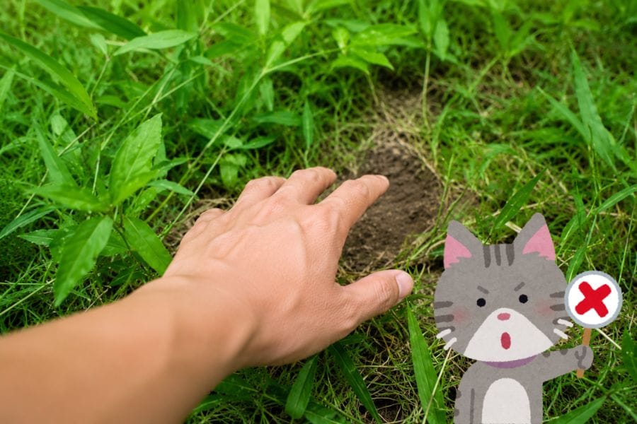動かないムカデを素手で触らない