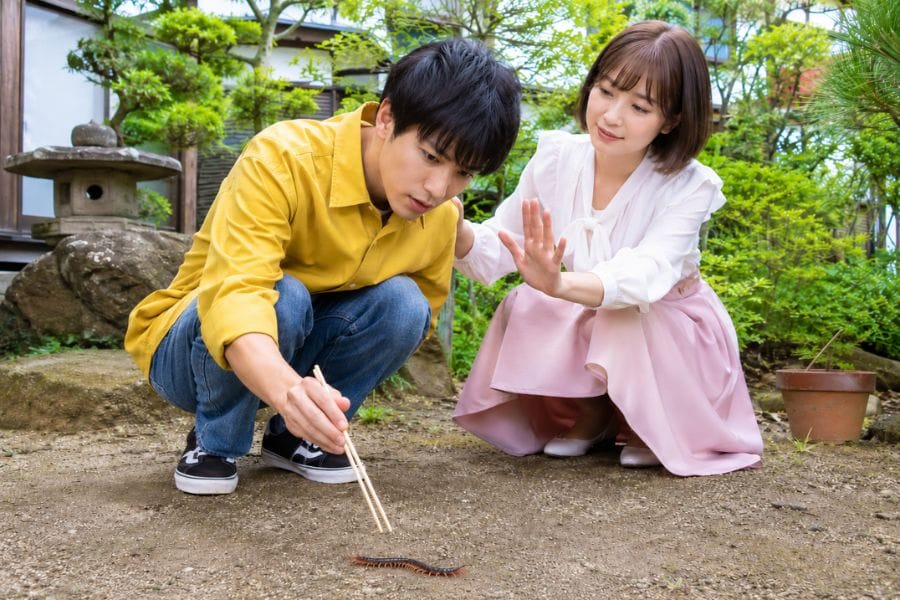 まとめ:ムカデが寄ってくる人を総括