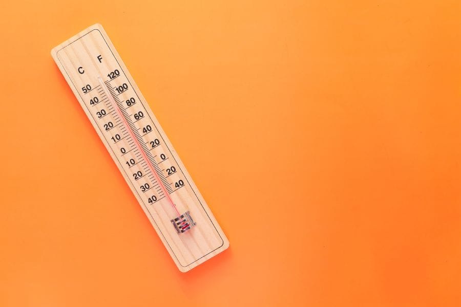 ムカデは暖かいところに寄ってくる